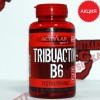 Трибулус: Activlab Tribuactiv B6 || 90 капс